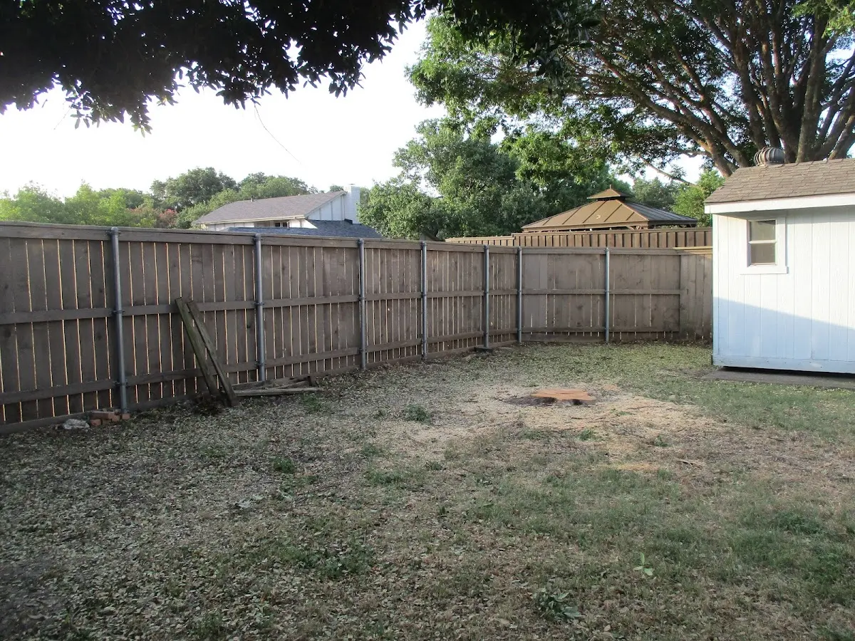 Cleared yard after professional tree removal in Penfield