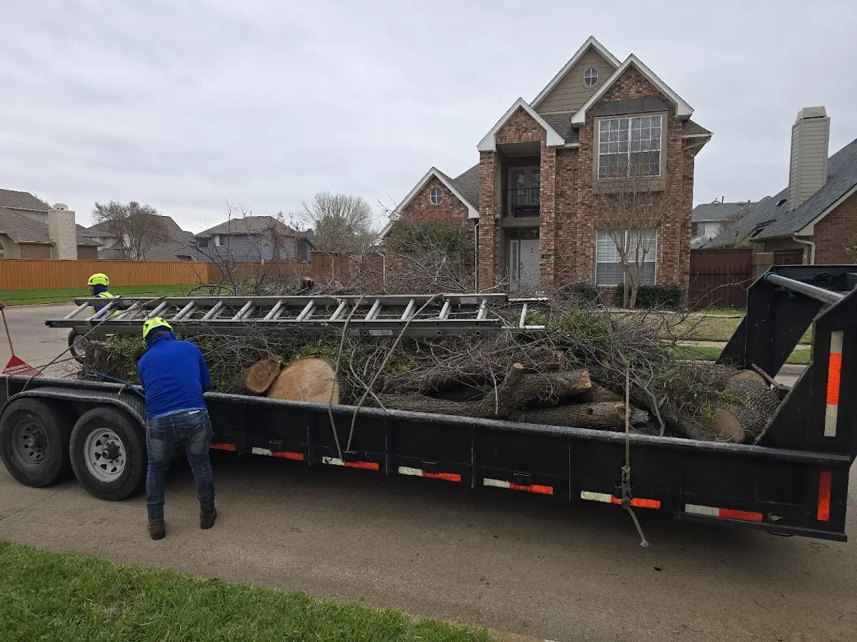 Expert Crown Reduction with proper safety equipment in Penfield